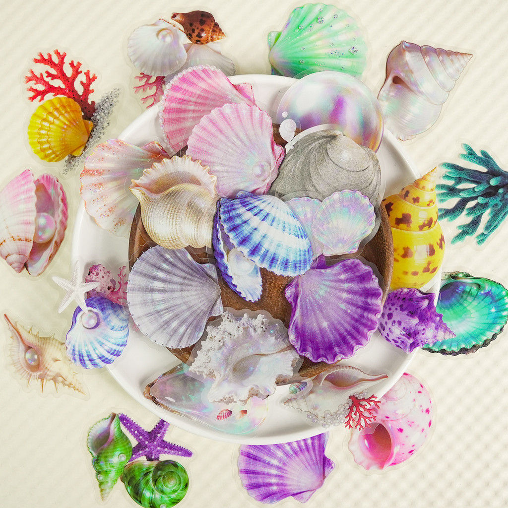 56 Pcs Transparent PET Seashell Stickers - New Exquisite Waterproof Decals for J