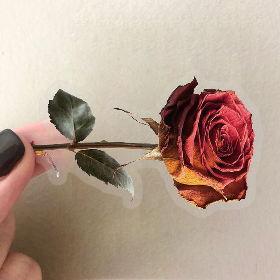 Thumbnail: 50PCS Transparent Dried Flower Sticker Pack - Waterproof Clear PET for Scrapbook