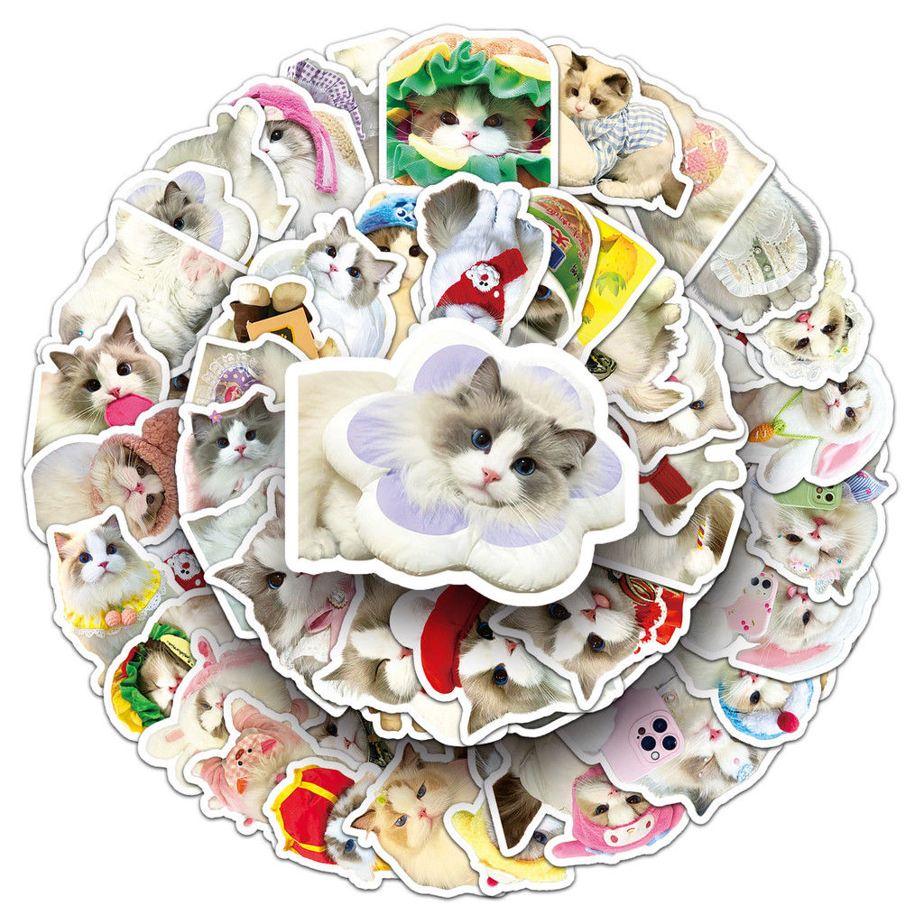 50Pcs Ragdoll Cat Stickers - Cute Cartoon Pet Decor for Water Bottle/Laptop - Wa