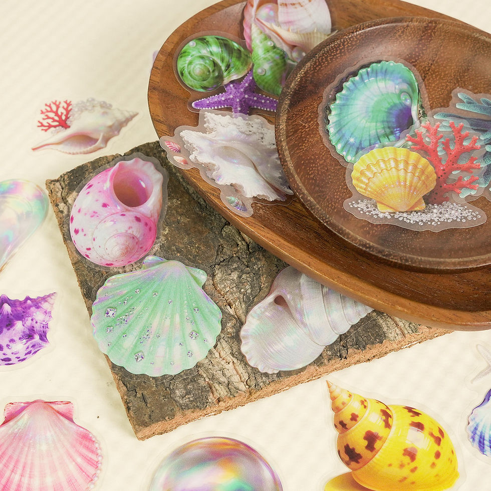 Thumbnail: 56 Pcs Transparent PET Seashell Stickers - New Exquisite Waterproof Decals for J