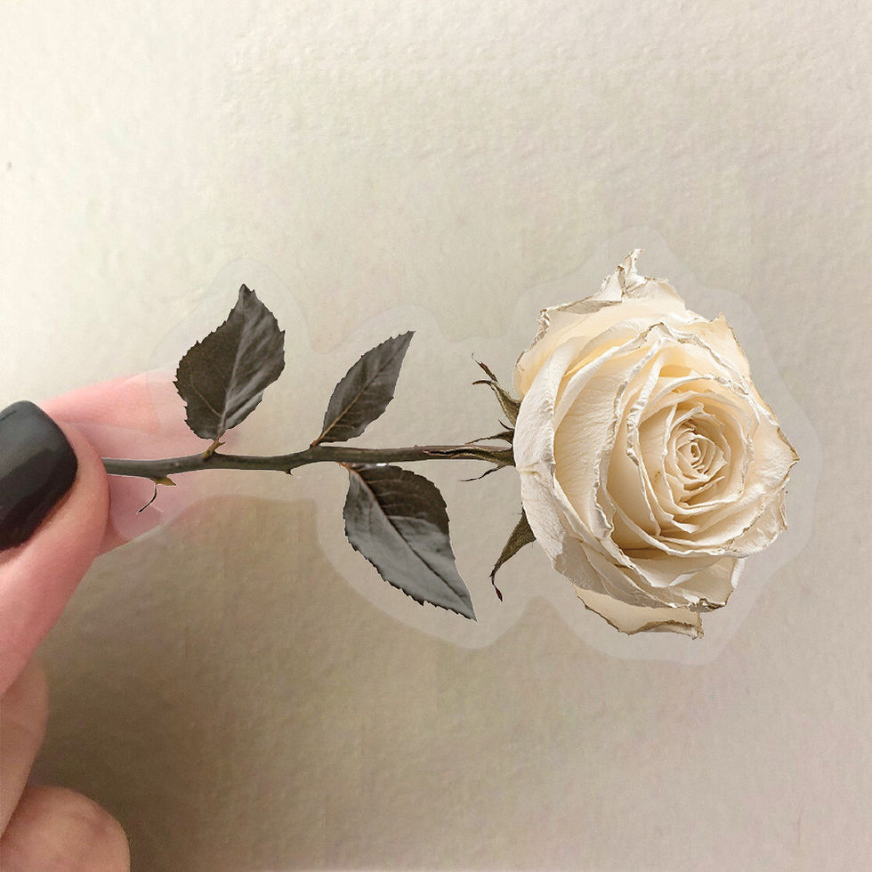 Thumbnail: 50PCS Transparent Dried Flower Sticker Pack - Waterproof Clear PET for Scrapbook