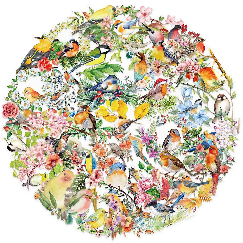 Thumbnail: 50PCS Transparent INS Watercolor Bird Sticker Pack-Waterproof PET for Scrapbooki