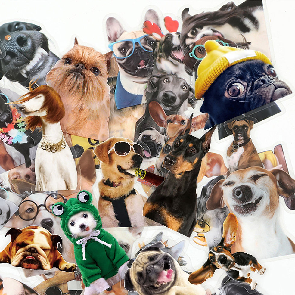Thumbnail: 50pcs Transparent Clear Dog Emoji Stickers Waterproof Decals for Tech & Travel R