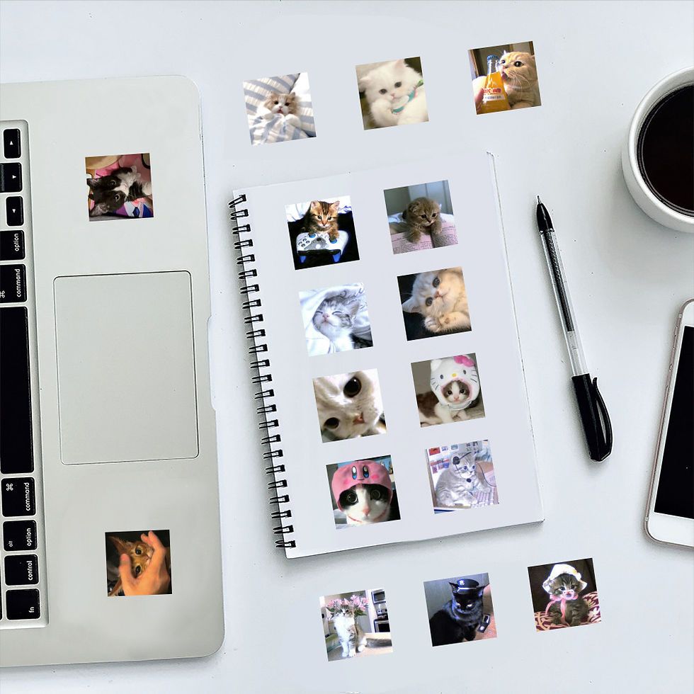 Thumbnail: 59 Blurry Kitten Stickers - Cute Cat Decals for DIY Decor & Crafts RecordingYour