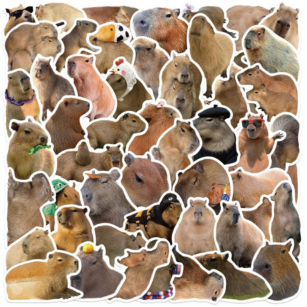 50Pcs Cartoon Capybara Graffiti Stickers - Waterproof Decor for Guitars, Noteboo