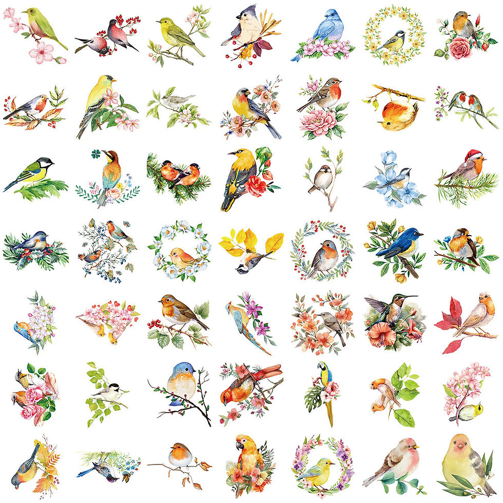 Thumbnail: 50PCS Transparent INS Watercolor Bird Sticker Pack-Waterproof PET for Scrapbooki
