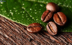 Granos de café