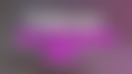 Followers Don’t Pay the Bills: The 3 Steps to Escaping the Million Follower Trap