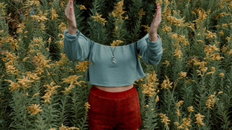 Reflection: The Black Friday Deal Every Creator Needs