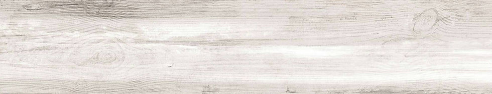 Porcemall Nautilus Blanco 9''x48'' (No-Rectified)
