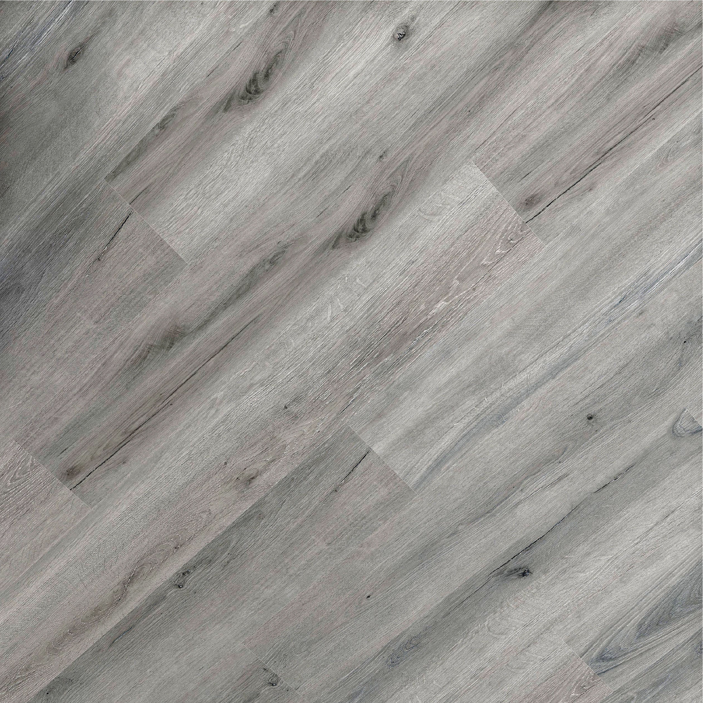 Ribadao Caravel Collection - Discovery SPC