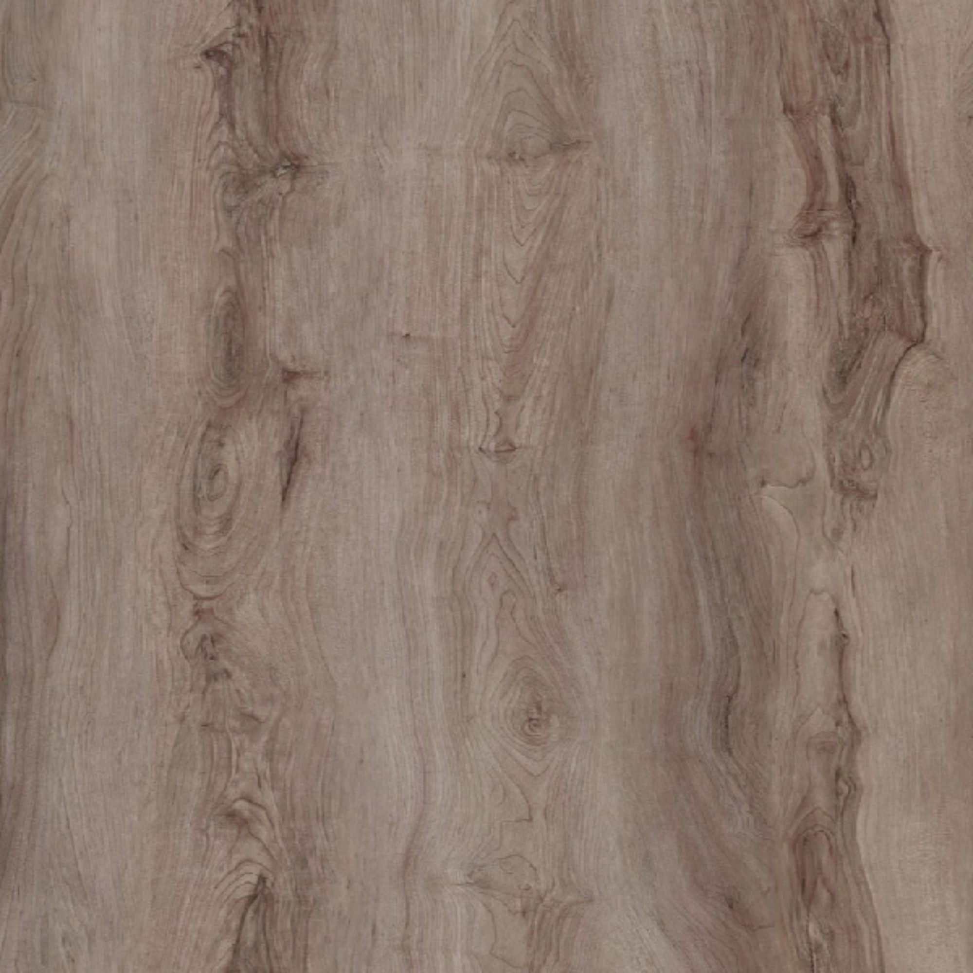 Coreproof Project Collection - Execution