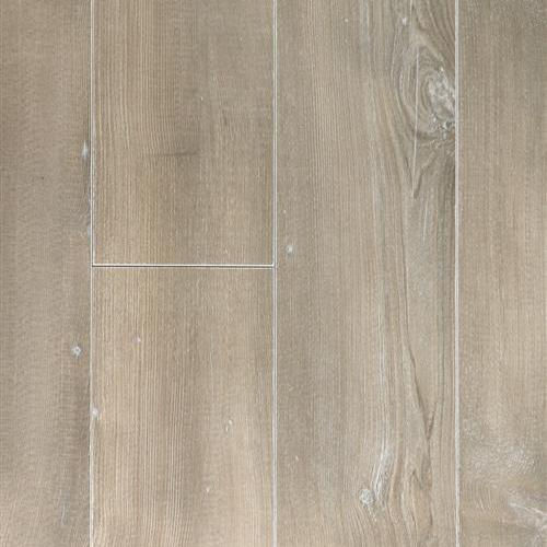 Nuvelle-Vienna-Hemlock Glacier VEN3