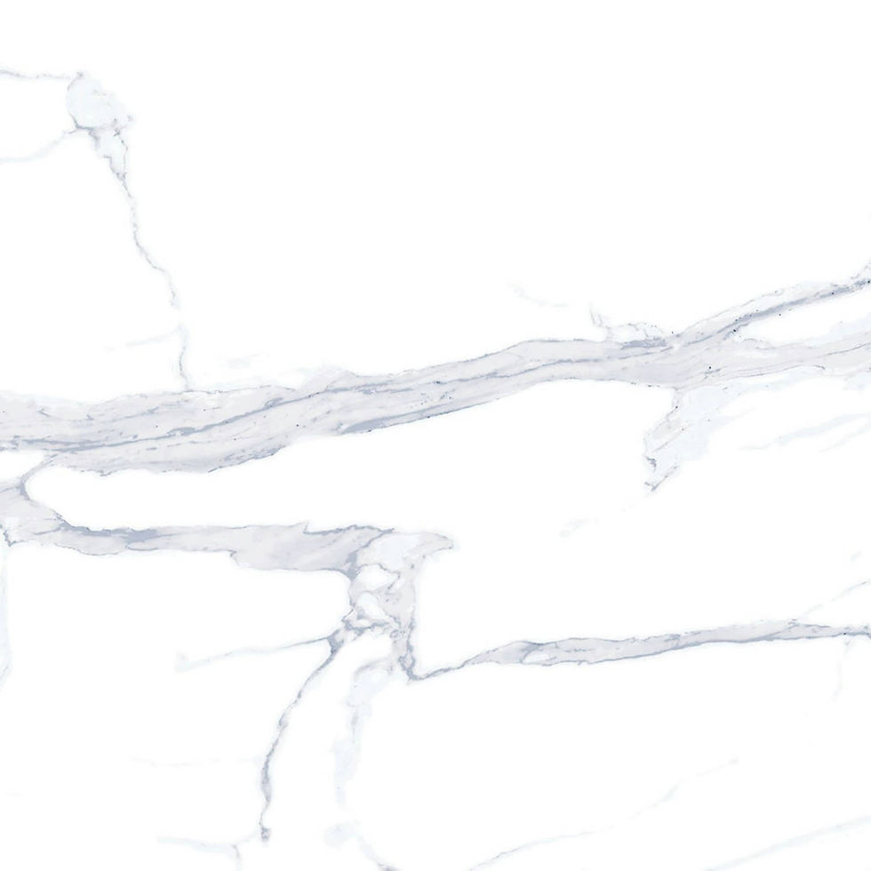 Porcemall  Fortis White  24''x24'' (Rectified)