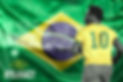 PELEGACY FLAG VER.jpg