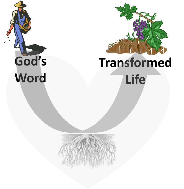 Transformative Biblical Model