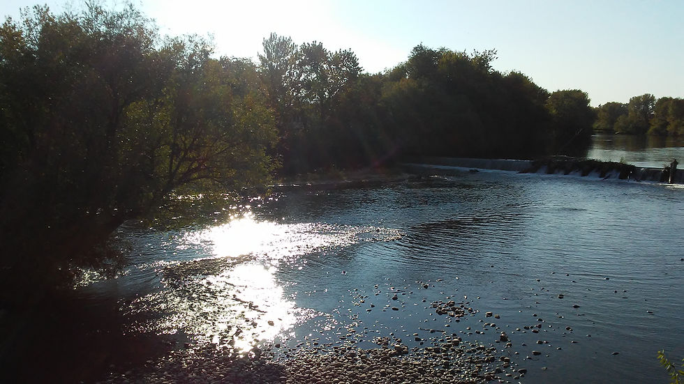 Image of a river in the early morning, with trees lining the banks and sunshine reflecting off the water.