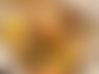 Summer Seafood Pouch