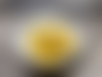 Butternut Squash & Mushroom Pasta