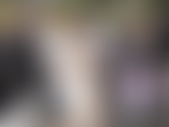 दिल्ली में प्रदूषण रोकने के लिए सफाई अभियान शुरू