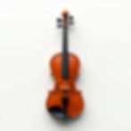 Professional Master Violin