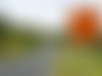 Property prices slow down with stamp duty deadline