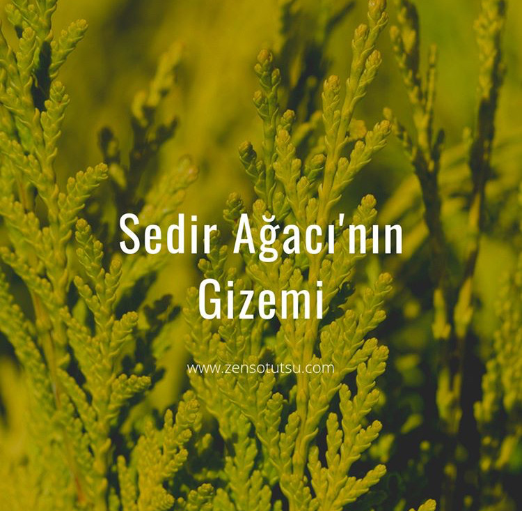 Sedir Doğal Tütsü