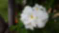 20160904_104037.jpg