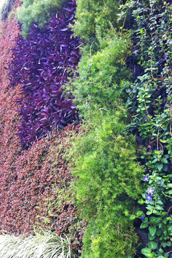 Projeto Expo Renault