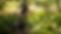 gravel-bike-vs-mountain-bike-main.jpg