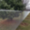 x600-78498.jpeg