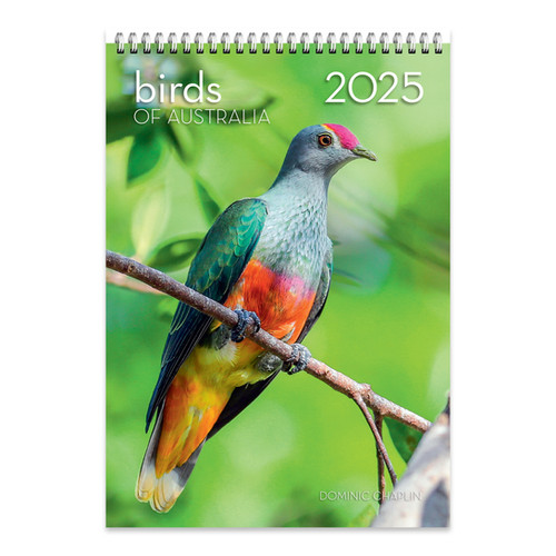 2025 Birds of Australia Steven Nowakowski