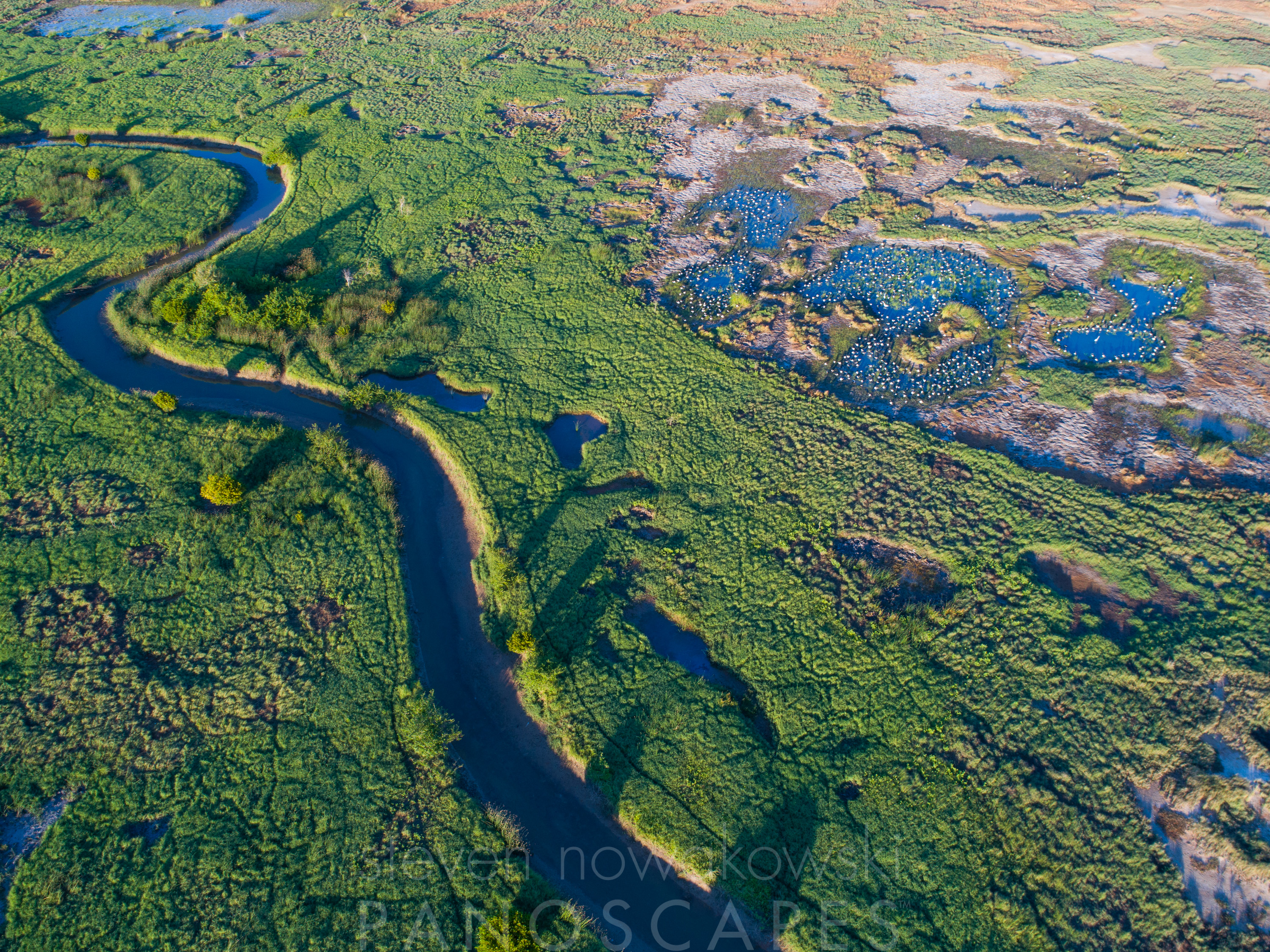 Normanton Wetlands