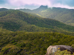 Bare-Hill-2