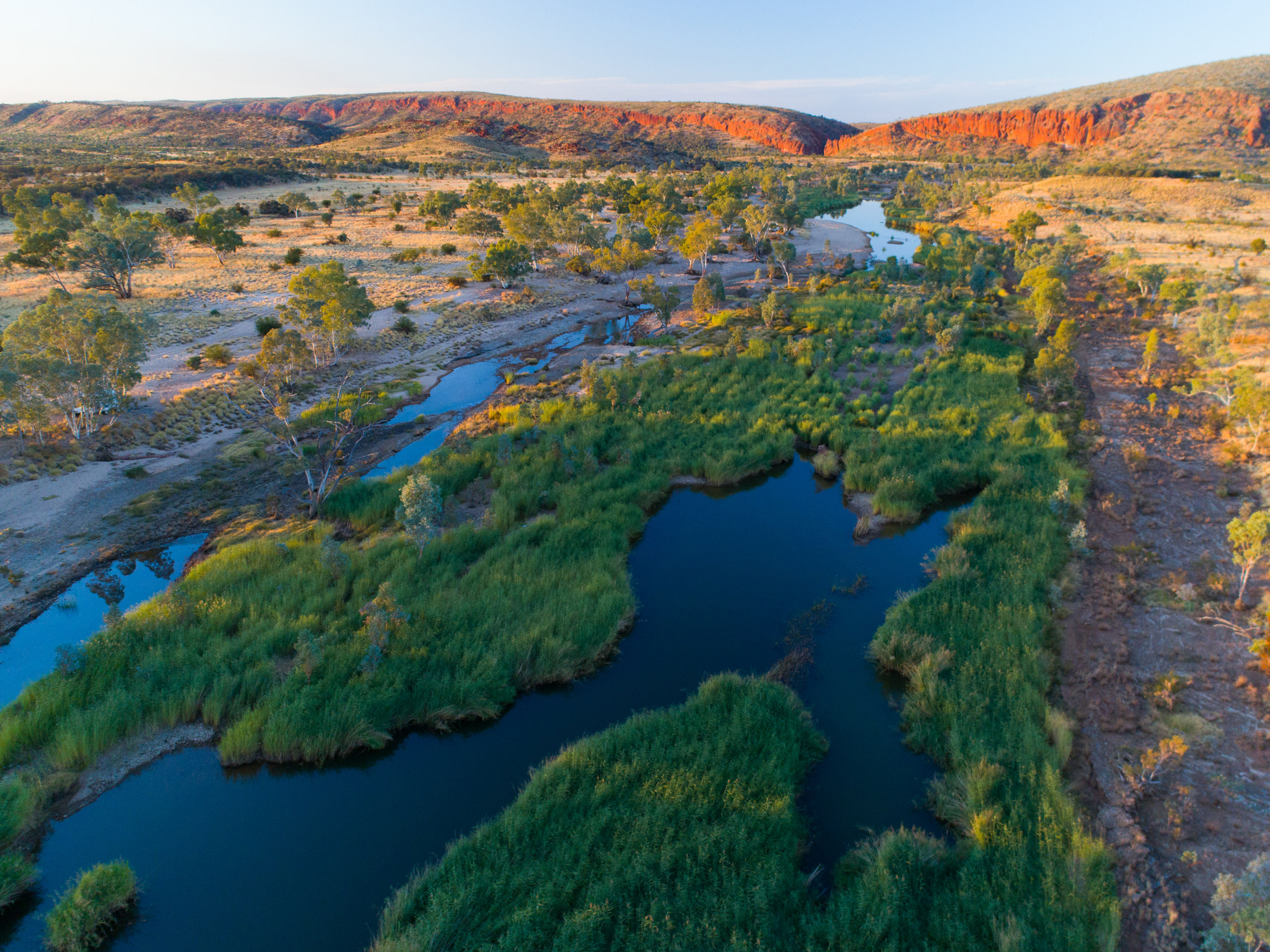 Prints | Outback | Ancient artery