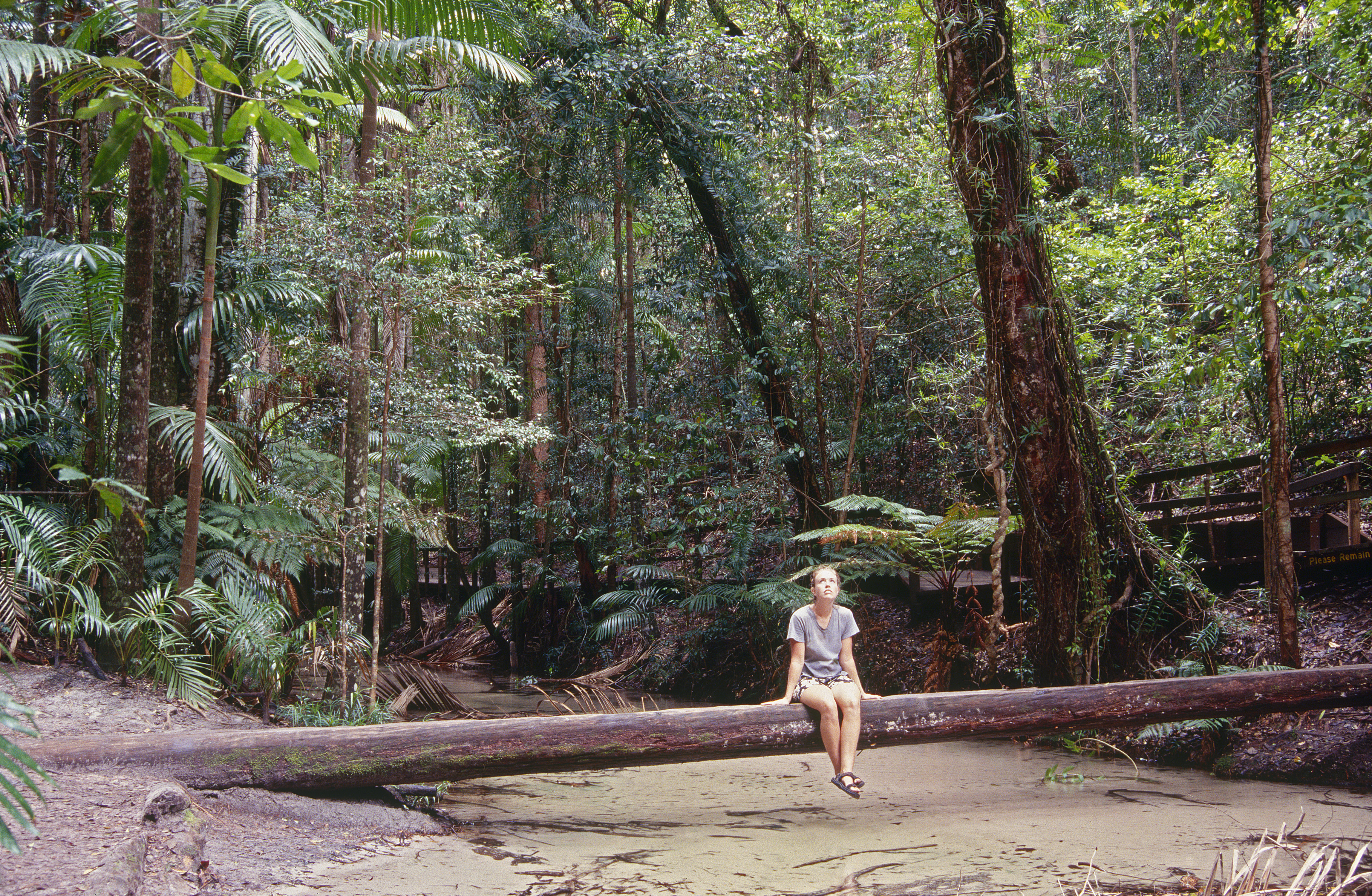 Wangoolba Creek, Fraser Island