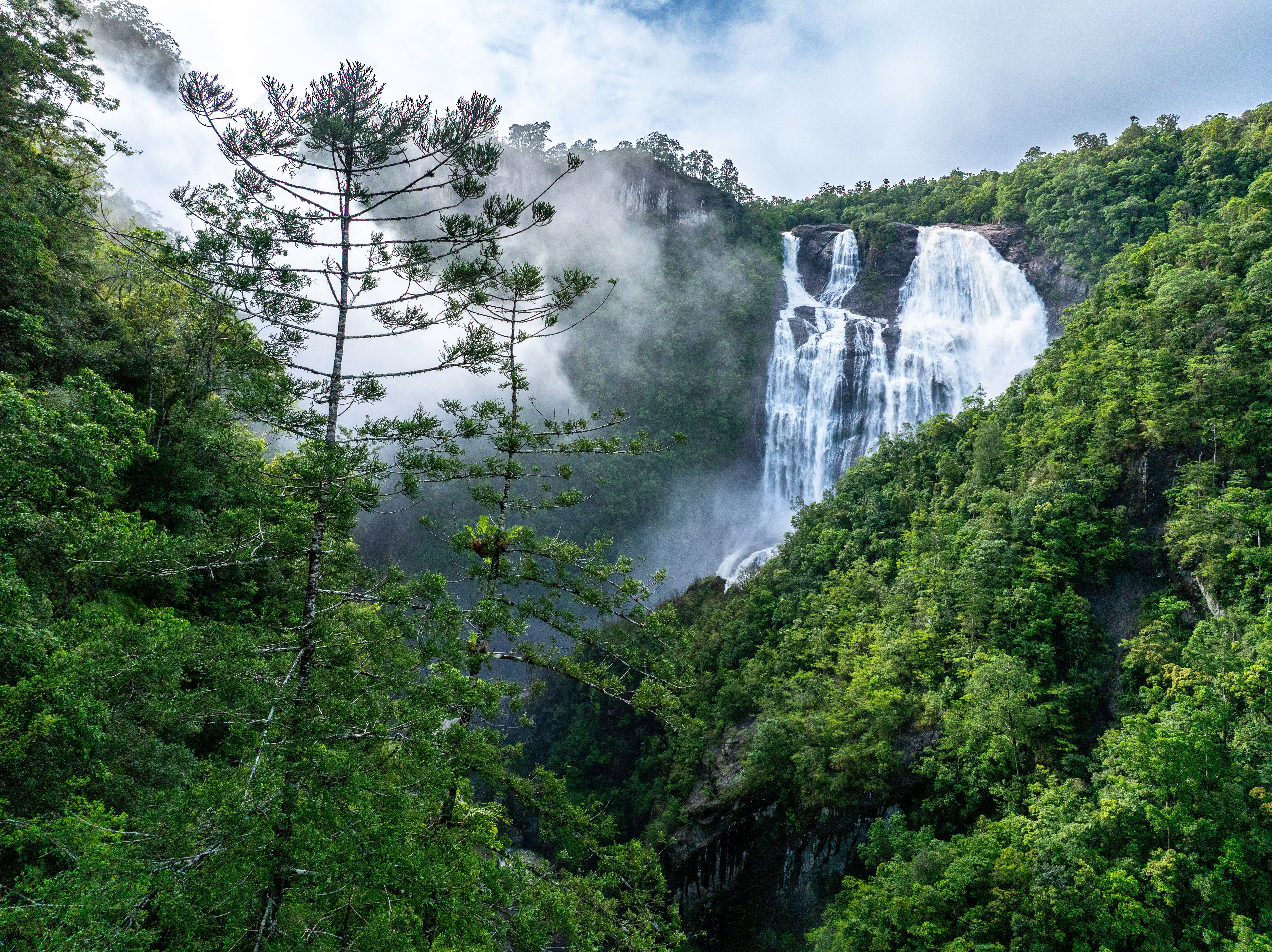 Prints | Waterfalls | Tully Falls