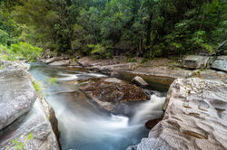 WooroonooranNP_SouthJohnstoneRiver QPWS-WTMA perpetual licence © Steven Nowakowski_1 1