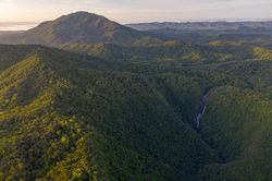 MowbrayNP_Spring Ck Falls and Black Mtn QPWS-WTMA perpetual licence © Steven Nowakowski_1.