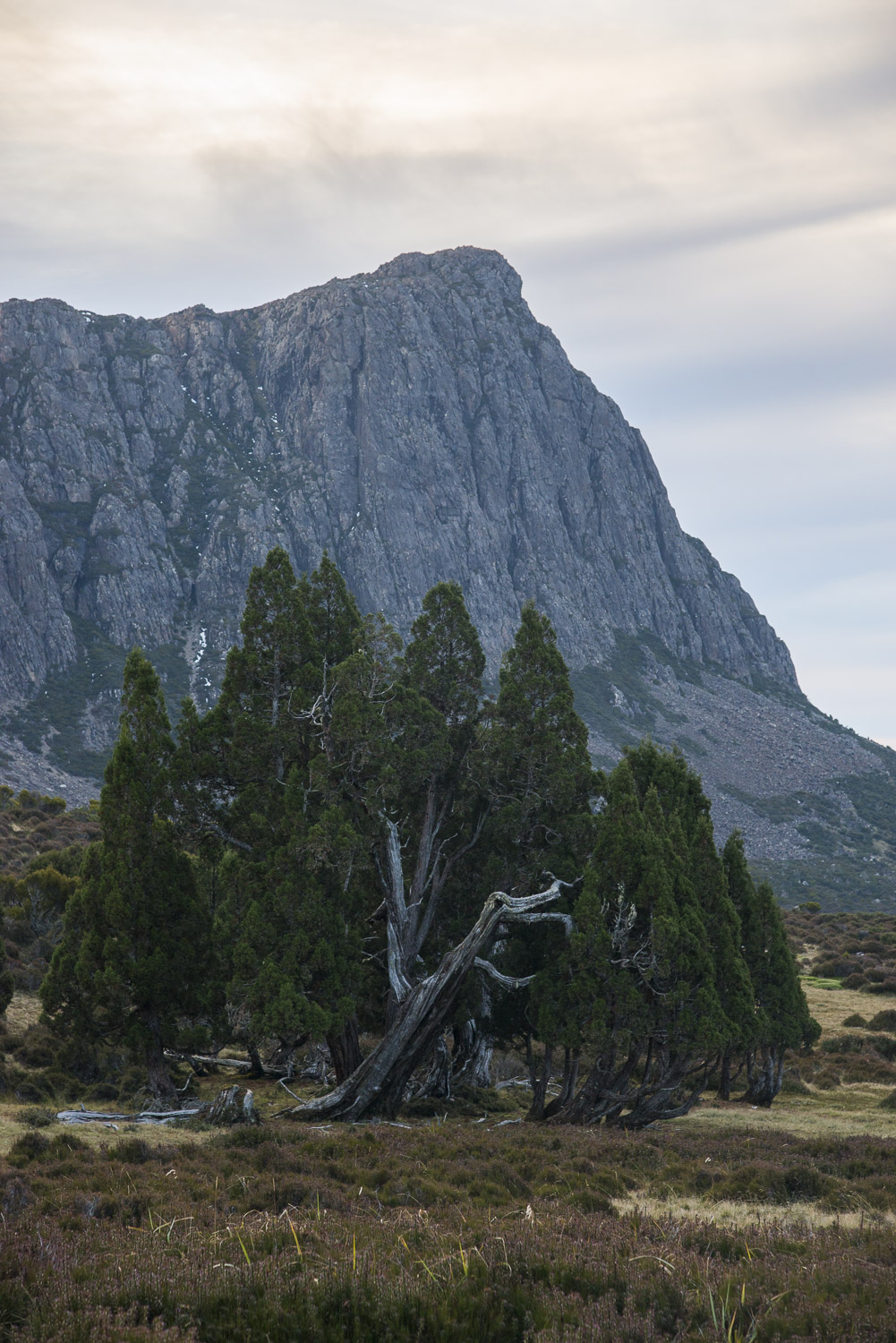 Walls of Jerusalem National Park