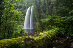 WooroonooranNP_RussellRiverTributories QPWS-WTMA perpetual licence © Steven Nowakowski_1 1
