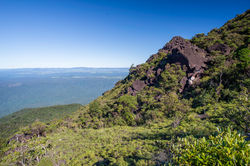 WooroonooranNP_BartleFrere_easternsummit QPWS-WTMA perpetual licence © Steven Nowakowski_1