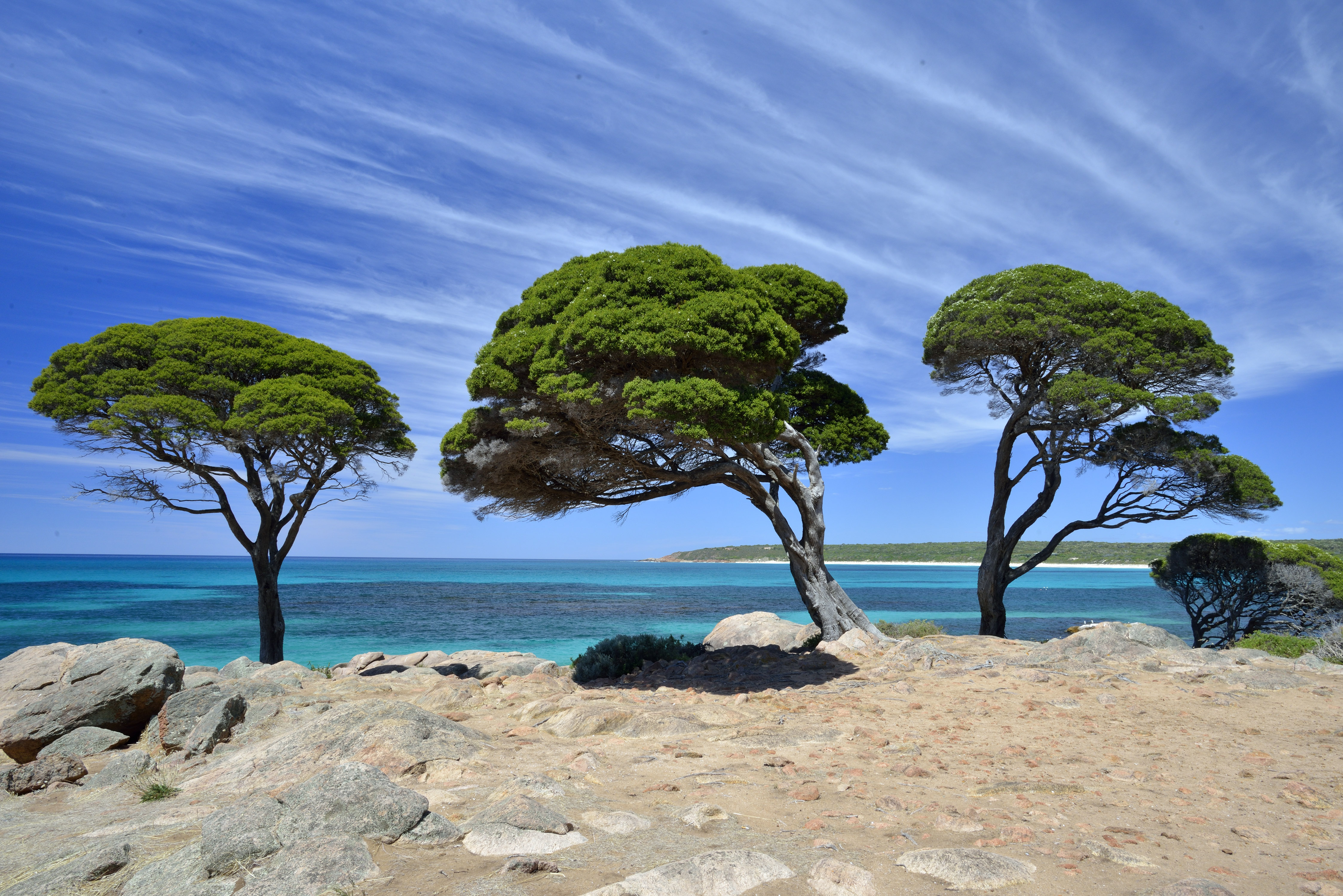 Shelley Cove.