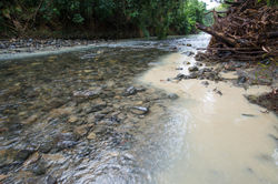 2016-06-13 008 Emmagen Creek