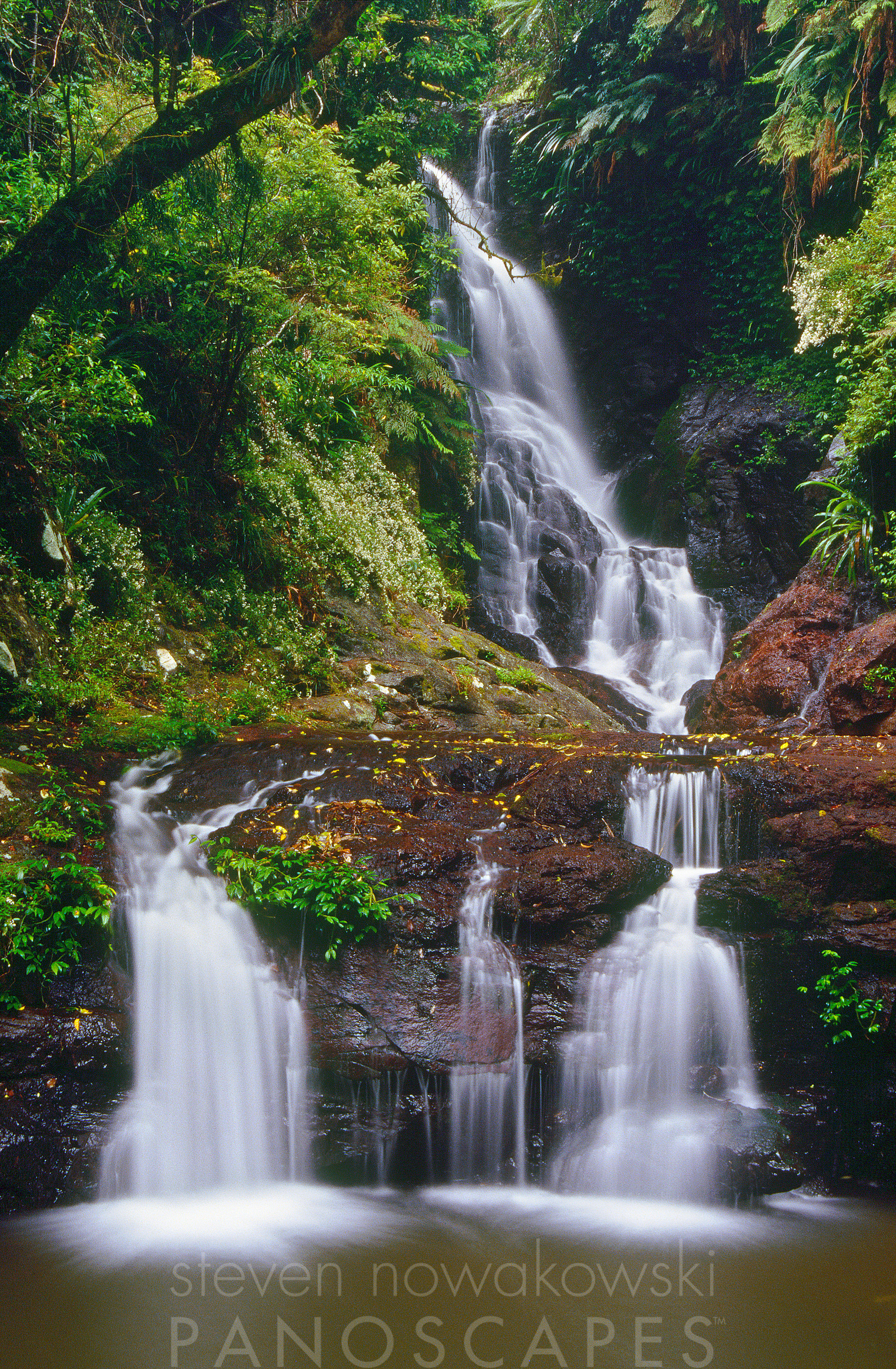Lamington National Park