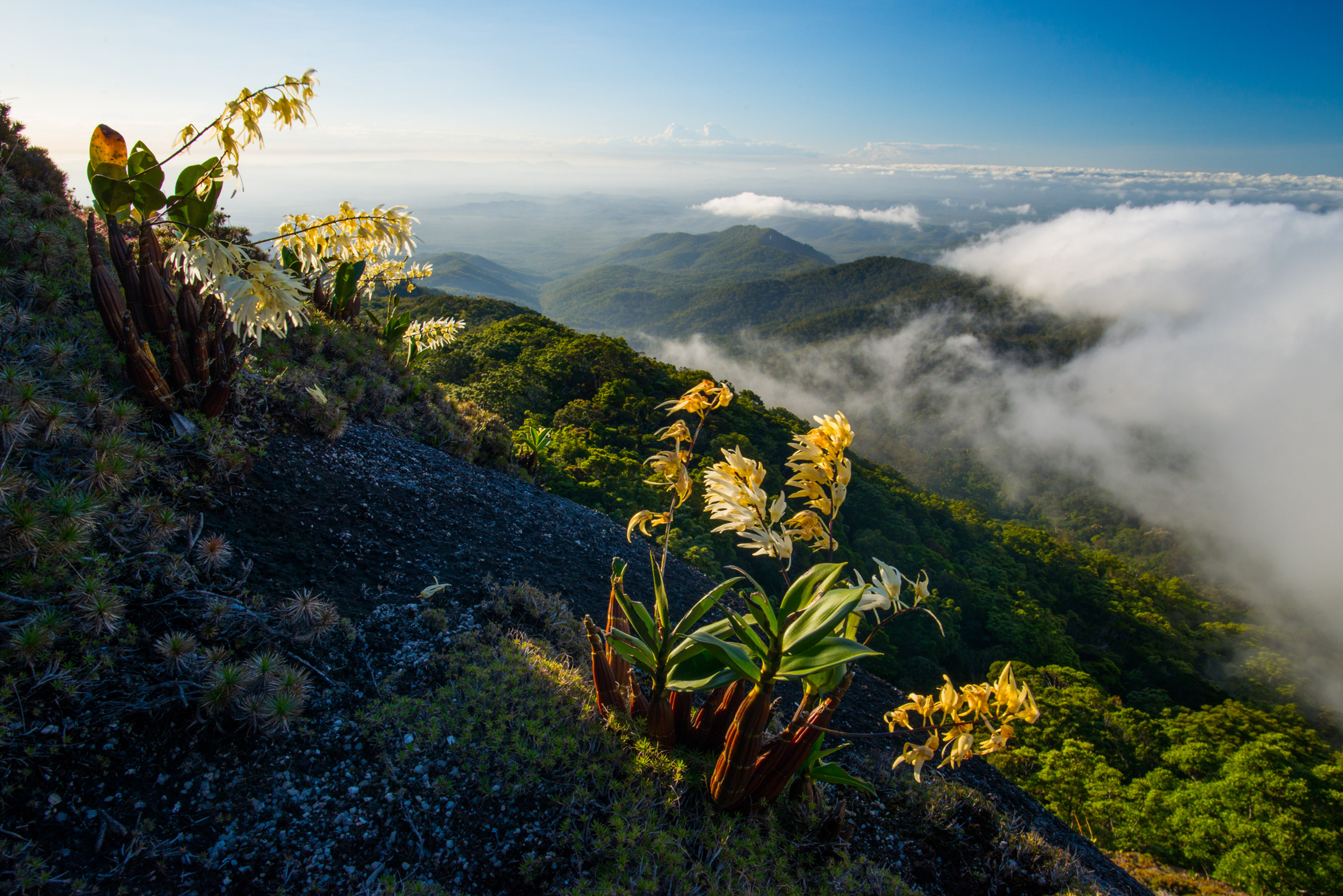 Prints | Wilderness | Kahlpahlim Rock #1