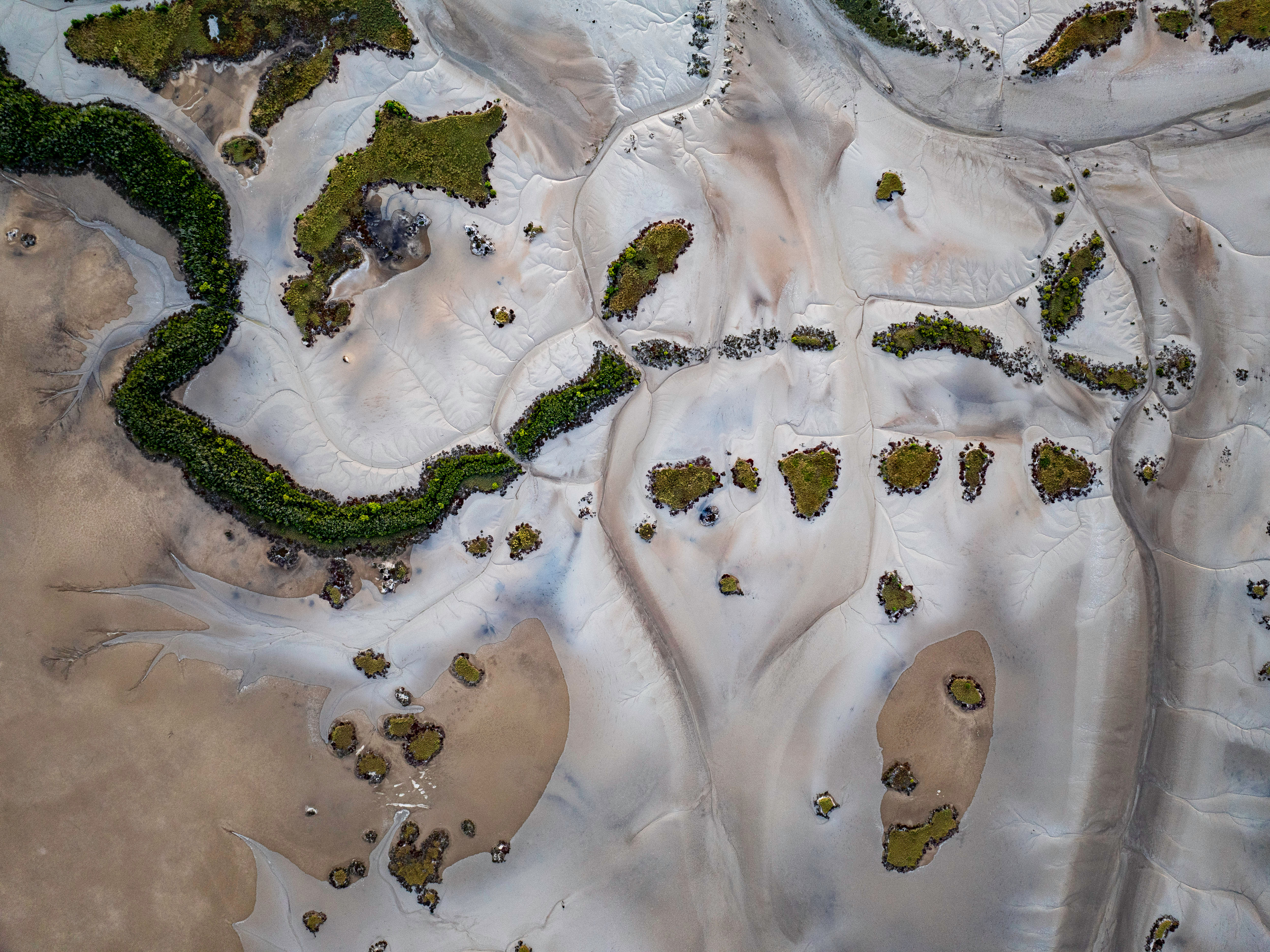 Prints | Seascapes | Wetlands, St. Lawrence # 1