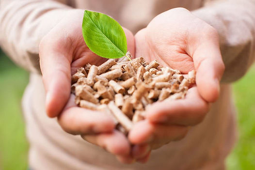 pellet-migliore-stufa-caratteristiche-certificazione-en-plus-a1-a2-din-min-1024x683.jpg