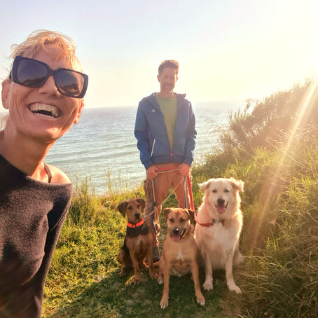 Der Kompass zeigt nach Süden