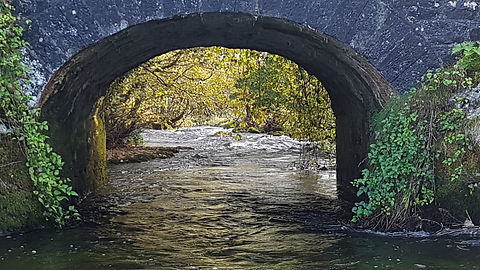 Pauline Bradley Bridge 3.jpg